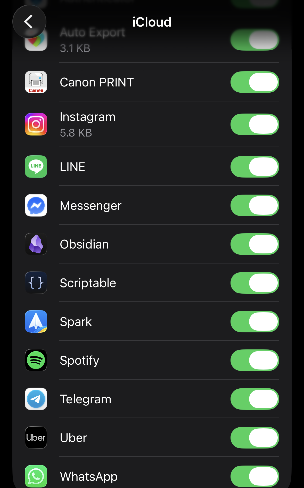 確認 Scriptable 這一列是開的,腳本才會跟 Mac 同步 Scriptable 的 iCloud 同步已開啟